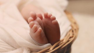 ベビーナブ（Baby nub）と性別判断方法 