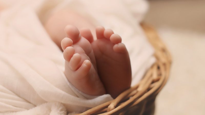 ベビーナブ（Baby nub）と性別判断方法 